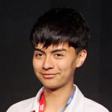 Verner Jaque